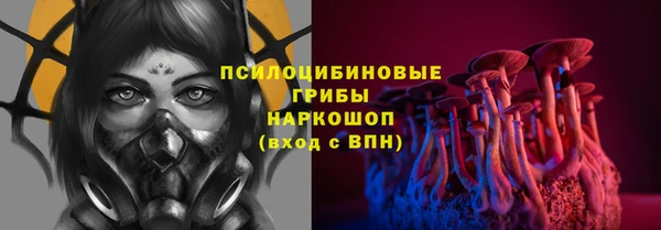 трава Армянск