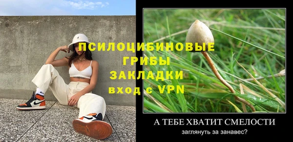 трава Армянск